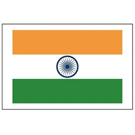 8 Large India Flag Tattoos: Indian Party Favors