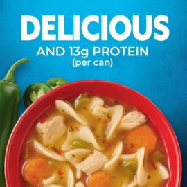 Progresso Spicy Chicken Noodle Soup with Jalapeno, 18.5 oz (Pack of 12)