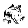 Car Sticker Carp Fish Sticker Fishing 15 x 13.5 cm