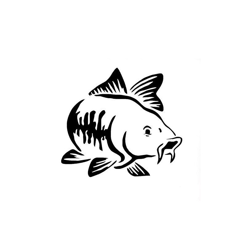 Car Sticker Carp Fish Sticker Fishing 15 x 13.5 cm