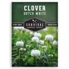1 Pack Dutch White Clover Seeds for Planting with Instructions