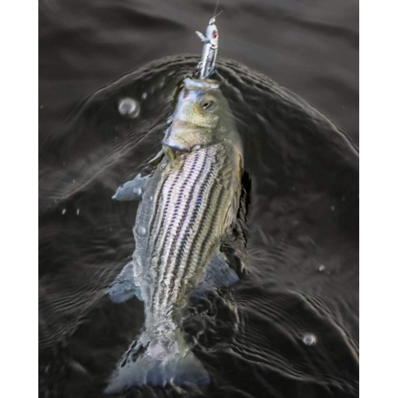 Bomber Jointed Wake Minnow Bone Flash