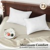 Basic Beyond Queen Size Pillows Set of 2 - Soft