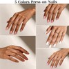 Dsixnails 150 uñas postizas nude, 5 tonos, uñas postizas cortas