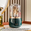 Makeup Brush Holder, Rotatable Makeup Brush Storage Box with Clear