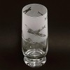 Dartington Crystal Aspect Highball Glass - World War II Airplane