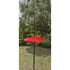 13" Glass Rain Guard for Bird Feeder Outdoors - Baffle