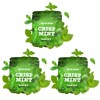 3 Packs of Plant-Based Spearmint Flavor Cores | 5.5mm x