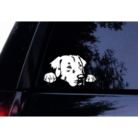 Peeking Lab Decal - Labrador Retriever - Vinyl Car Decal Window Sticker (5")