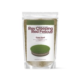Old Cobblers Farm™ Wicked Tuff Turf Rev Creeping Red Fescue - Shade Tolerant, Fine-Textured Grass Seed for Beautiful, Low-Maintenance Lawns (5 lbs | 10 lbs | 15 lbs | 20 lbs) (10lbs)