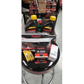 Kawasaki Kawaski OEM Service Kit with SAE30W Oil  Fits all FS Series & FR651V 691V 730V