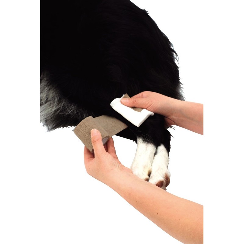 ペティオ (Petio) ずっとね 巻くだけ伸縮包帯 犬用