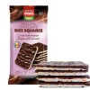 Paskesz Chocolate Covered Rice Cakes Squares Whole Grain Dairy Free
