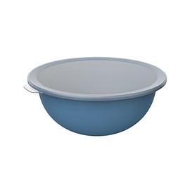 Rotho Caruba Bowl 4.8 L with Lid, Plastic (PP) BPA-Free, Blue/Transparent, 4.8 L (32.2 x 30.5 x 13.3 cm)