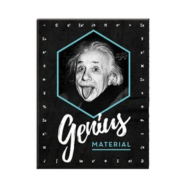 Nostalgic-Art, Einstein Retro Fridge Magnet - Genius Material - Gift Idea for Students - Vintage Metal Fridge Magnet 6x8cm