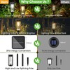 BITPOTT Solar Pathway Lights Outdoor, 8 Pack LED Warm White