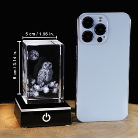 3D Crystal Engraved Owl Figurines Ornaments Owl Housewarming Gifts for Friends Glass Owl Decor with LED Stand Graduation Gifts