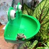 OWMOSYX Frog Habitat with Suction Cup, 2 Pcs Cute Fish