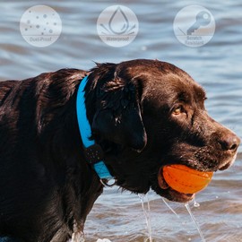 Geiomoo Silicone Case for Tile Mate (2024, 2022, 2020) Tracker, Protective Cover for Pet Collar (Black)