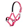 Hkm Headcollar with Stars Softice, Soft Lining