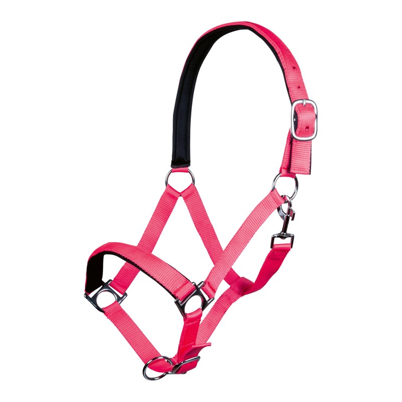 Hkm Headcollar with Stars Softice, Soft Lining