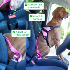 Zenify Dog Car Seat Belt Seatbelt Lead Puppy Harness - Heavy Duty Adjustable Carseat Clip Buckle Leash for Dogs Puppies Pets Travel - Pet Safe Collar Accessories Supplies Truck Safety (Red 2 Pack)