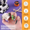 Set De Delineador De Esmalte De Uñas Nail Art French