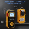 Bosean Hydrogen Sulfide Detector, H2S Detector, Gas Leak Detection, H2S