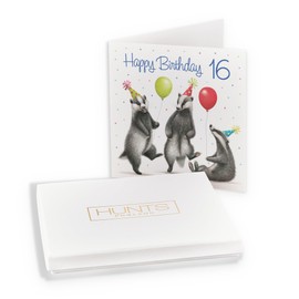 Hunts England - Boxed Badgers Funny 16th Birthday Card - Milo's - Age 16 Wildlife Birthday Card - Birthday Card For 16 Year Old - Age Sixteen - For Him, Her - Card In Keepsake Box