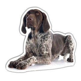 siviwonder German Shorthaired DK Car Sticker Photo Dog Sticker Decor Dog Film