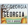 Georgia State License Plate Fridge Collector's Souvenir Magnet 2.5" X