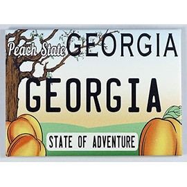 Georgia State License Plate Fridge Collector's Souvenir Magnet 2.5" X 3.5"