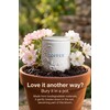 TAWCHES Wing Petal Ceramic Canisters Sets For The Kitchen Canisters
