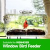 WENMIXER Suction Cups for Window Bird Feeders, 2.48"/63mm Clear PVC