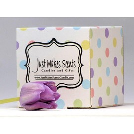 Just Makes Scents Candles And Gifts Citronella Mosquito Repelling Candle for Indoor Use - Packaging: With Gift Box