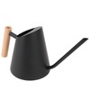 Watering Can with Long Spout 800ml Stainless Steel Matte Indoor