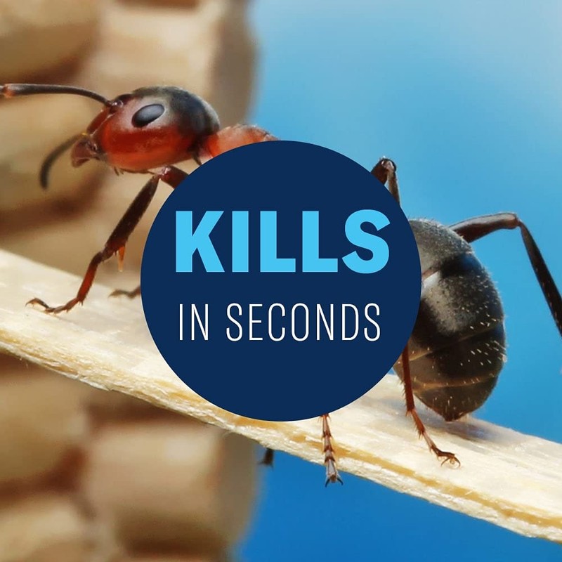 BioAdvanced Home Pest Control Indoor & Outdoor Insect Killer, Ready-to-Use,