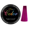 Resta Professional King of Color Direct Colour Pink Red 100