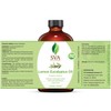 SVA Lemon Eucalyptus Essential Oil – 4 Fl Oz –