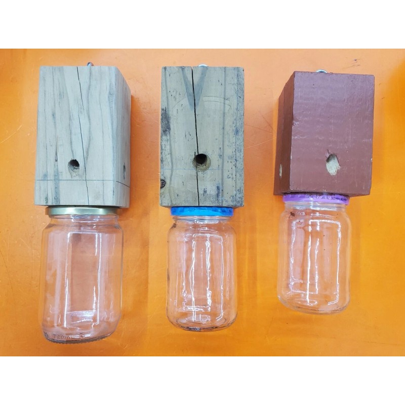 Homemade ⭐️⭐️⭐️⭐️⭐️ One Homemade Hanging Trap for Flying Insects, Bees