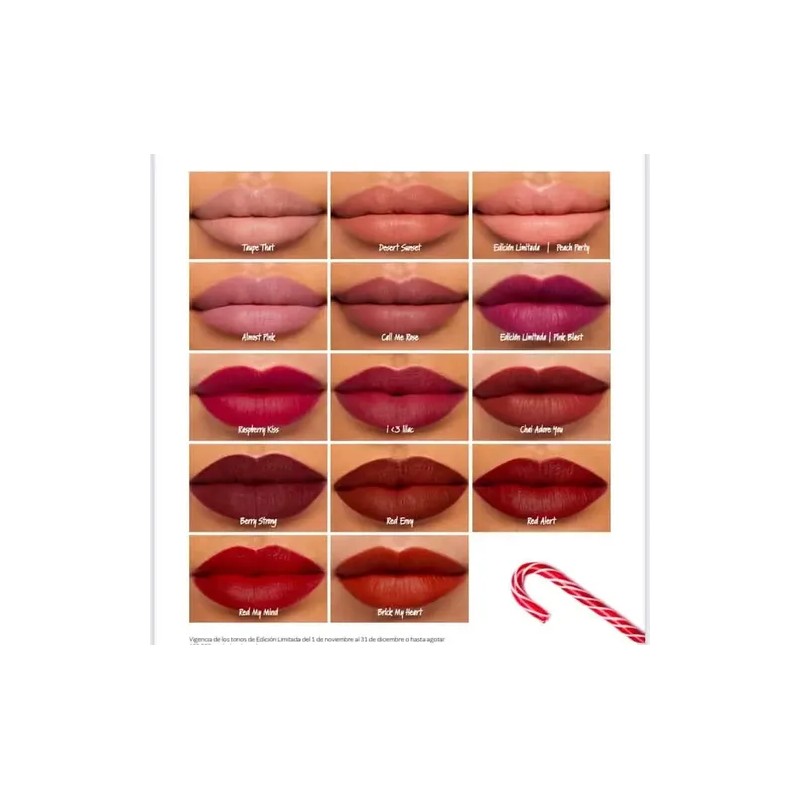 Nuevos Labiales Liquidos Mate Mary Kay
