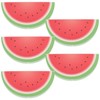 NUOBESTY Summer Watermelon Sticky Notes, 5pcs Cute Watermelon Memo Notes
