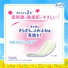 Charm Napp Soft Skin Women's 15cc Light Flow Unscented 30