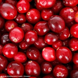 Urban Essentials Full-Spectrum-Multivitamin Complex Female - 60 Vegan Capsules