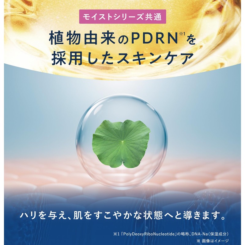 YOLU Yol Skin Overnight Serum Serum Moist