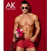 Arjen Kroos Mens Boxer Briefs Breathable Hot Mesh Underwear