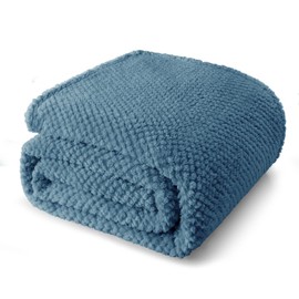 Whale Flotilla Queen Size Fuzzy Fleece Blanket, Fluffy Warm Soft Jacquard Bed Blankets for All Season, Lightweight and Cozy, 90x90 Inch, Slate Blue