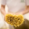 Rustichella d'Abruzzo Fusilli - 500g Classic Spiral Pasta - Made