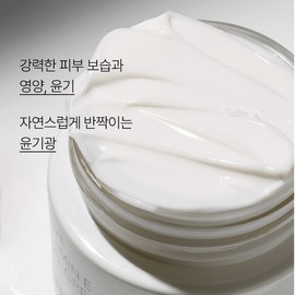 Innisfree [이니스프리]올리브 비타민e 리얼 크림 Innisfree Olive Vitamin E Real Cream