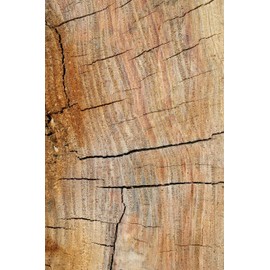 Anniversary Gifts: Anniversary Presents Book Lined Notebook Journal | Anniversary Gifts for Husband or Wife (Wood 9) marriage books